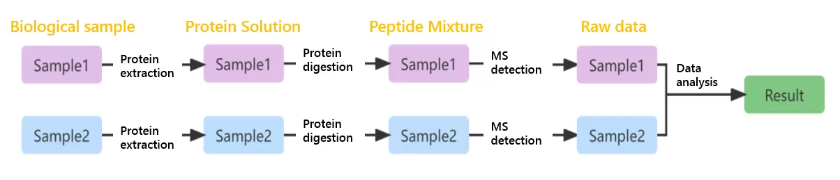 Figure 1. The basic strategy of label-free quantitative proteomics